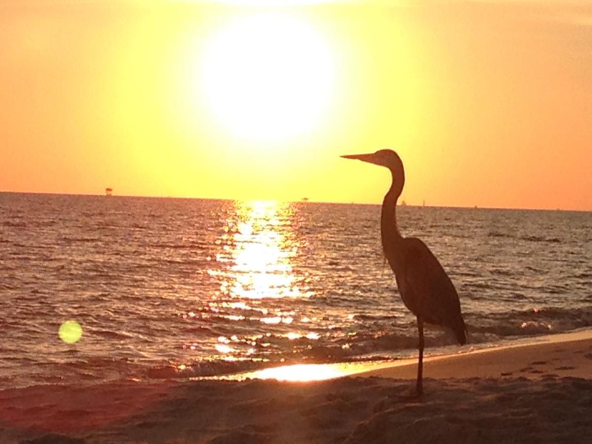Gulf Shores Plantation Екстер'єр фото